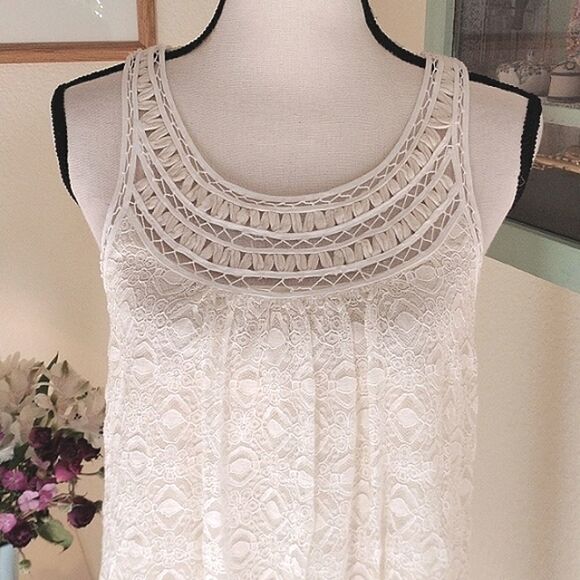 NWT Max Studio Lace Shift Dress - Picture 2 of 13